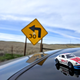 Illustration for article titled Diecast Tour of California: A Long And Winding Road To Global Time Attack (long picture heavy)